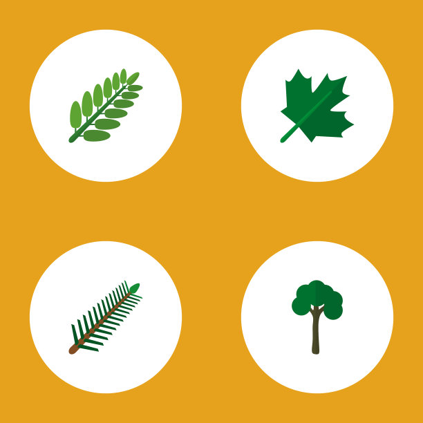 图标平面生态迷迭香花园枫树图片下载