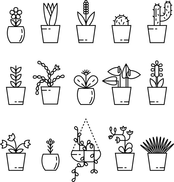 一套隔离的室内植物图片下载