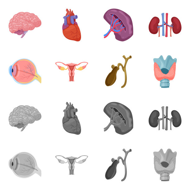 隔离对象的身体和人体图标收集图片下载