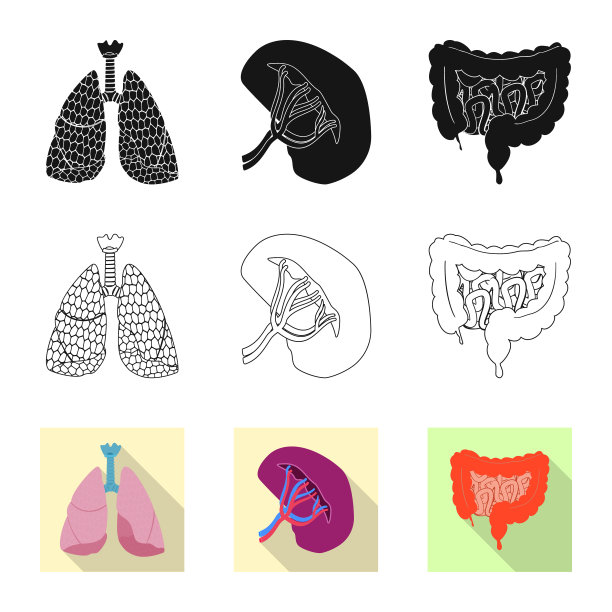 人体和人体标志图片下载