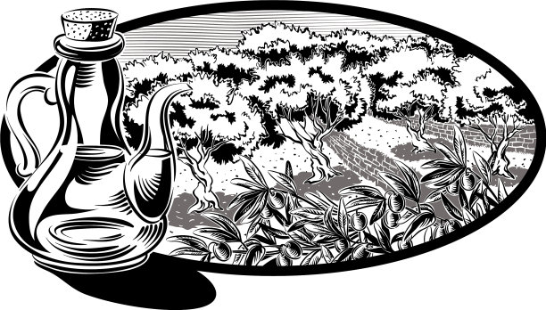 用橄榄油装的调味瓶，在椭圆形框架内图片下载