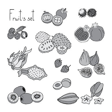 水果组图片下载