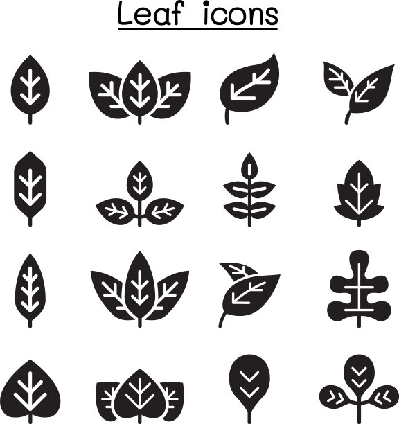 叶图标设置图片下载
