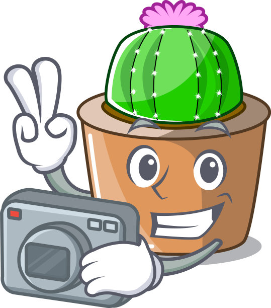 摄影师卡通明星仙人掌在花盆里图片下载