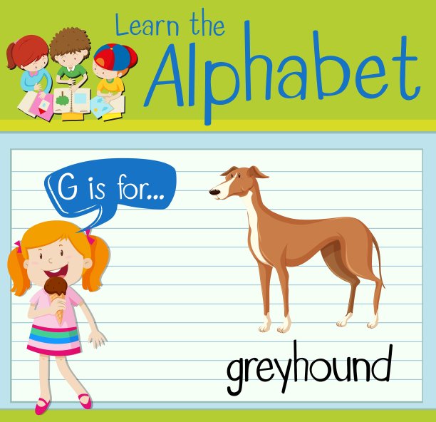 识字卡片上的字母G代表灰狗图片下载