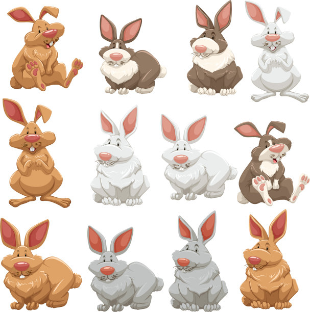 毛色不同的兔子图片下载