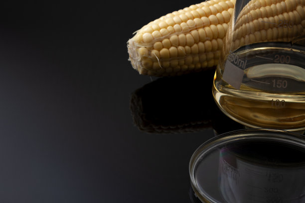 乙醇作为可再生燃料，可持续的绿色替代化石燃料和生物燃料的解决方案概念与玉米，玻璃烧杯和培养皿孤立在黑暗的背景与复制空间图片下载