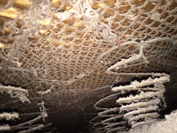 灰尘和臭虫图片下载