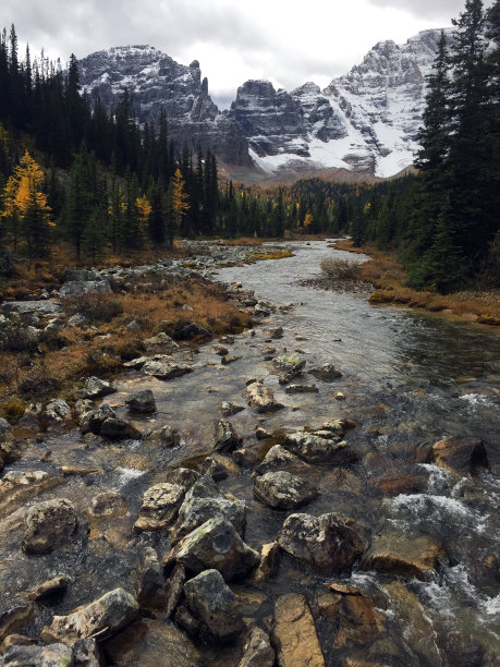 加拿大亚伯达省班夫国家公园天堂谷的秋天落叶松沿着徒步旅行小径的颜色图片下载