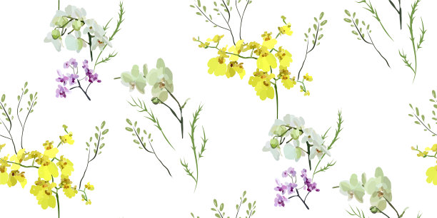 花无缝图案与不同的花图片下载