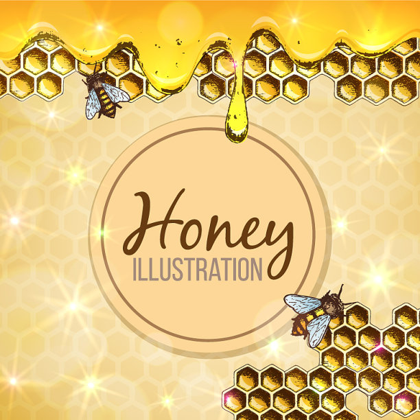 色彩斑斓的蜂蜜图片下载