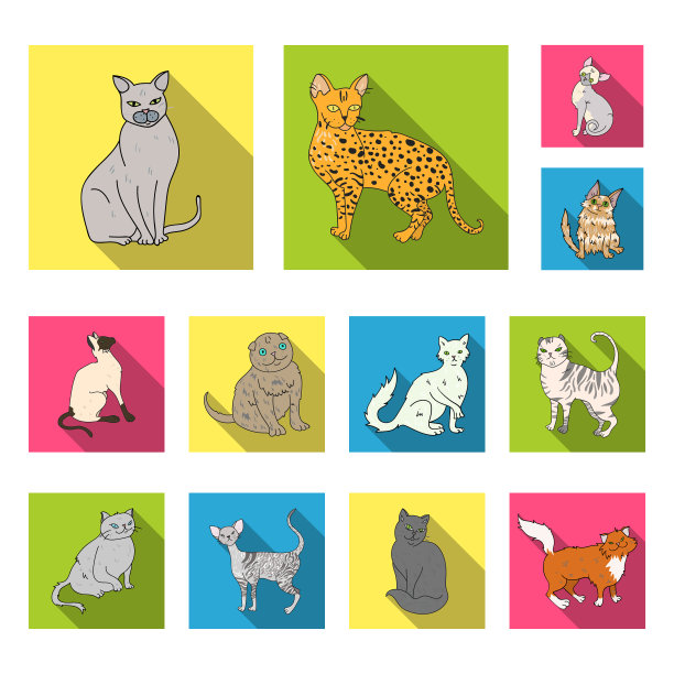 猫的品种平图标在集合为图片下载