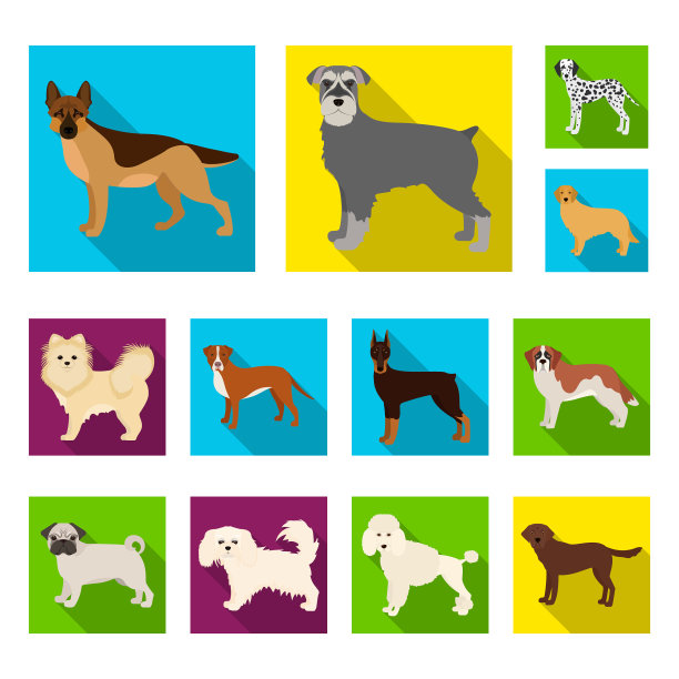 犬种平面图标在集合设计图片下载
