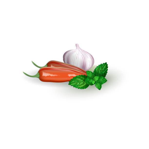 套胡椒薄荷和大蒜在现实主义风格图片下载