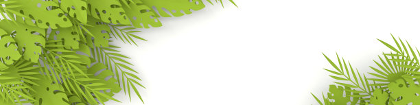 热带纸棕榈，巨叶框架。夏季热带叶。折纸异国情调的夏威夷丛林，夏日背景。剪纸的风格。3d渲染水平横幅图片下载