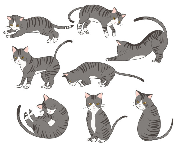 美国线的头发图片下载