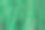 绿色的蕨叶或森林中的绿叶。一些蕨类植物和叶子的特写照片。美丽的绿色在较深的背景。绿色小叶图案点亮。自然的彩色照片。图片下载