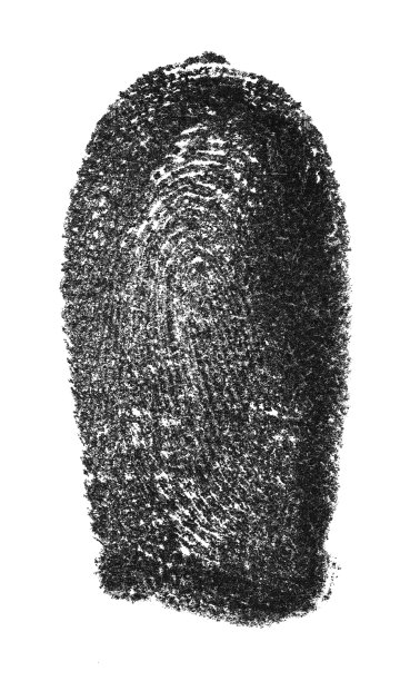 指纹图案孤立在白色背景上图片下载