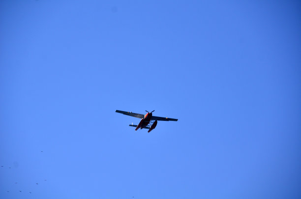 水上飞机图片下载