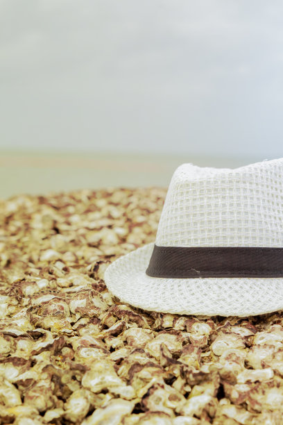 一个多云的日子里，大海的背景下，一个戴着黑色丝带的白帽躺在沙滩上图片下载