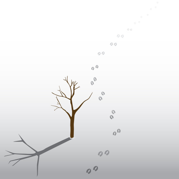 鹿在冬天在雪地上留下足迹图片下载