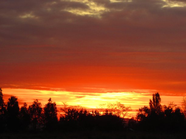 日落景观。自然摄影。混合的颜色图片下载