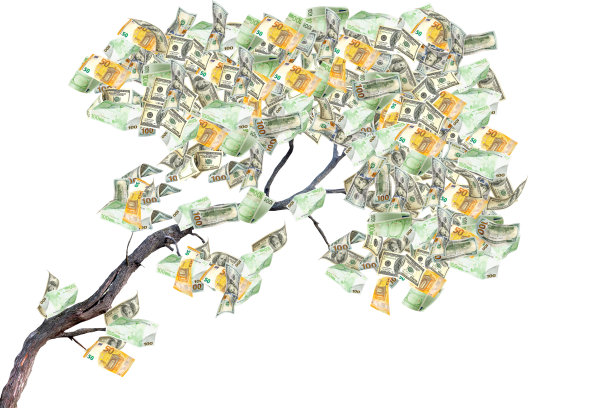 用纸币和欧元代替树叶的木制树枝图片下载