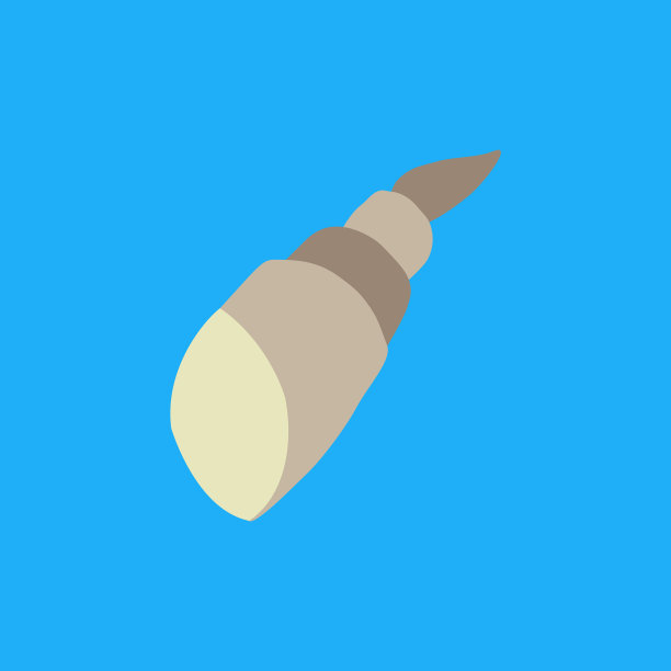 浅蓝色背景上的海贝图片下载