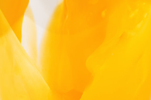 橙色的新鲜图片下载