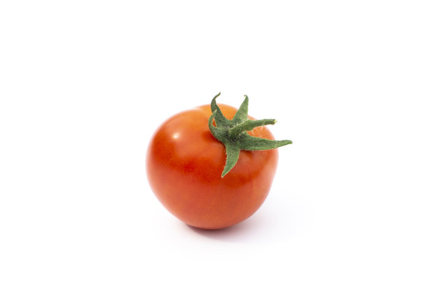 在梯田花园收获有机番茄图片下载