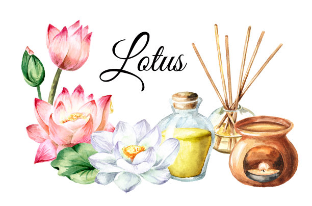 荷花精油卡。水疗和芳香疗法概念。手绘植物水彩插图孤立的白色背景图片下载