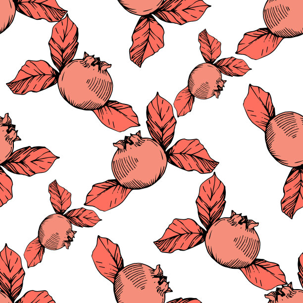 蓝莓黑和珊瑚雕刻水墨艺术图片下载