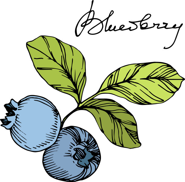 蓝莓绿和蓝刻墨艺术图片下载
