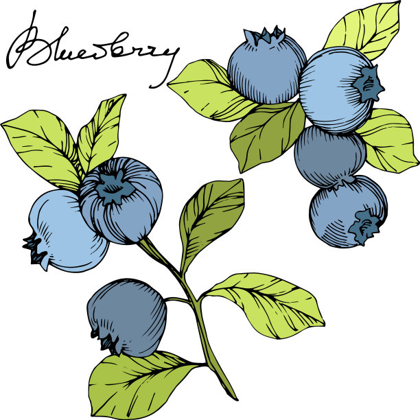 蓝莓绿和蓝刻墨艺术图片下载