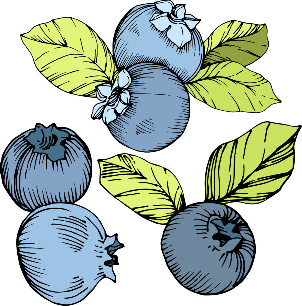 蓝莓绿和蓝刻墨艺术图片下载