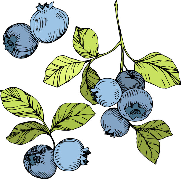 蓝莓绿和蓝刻墨艺术图片下载