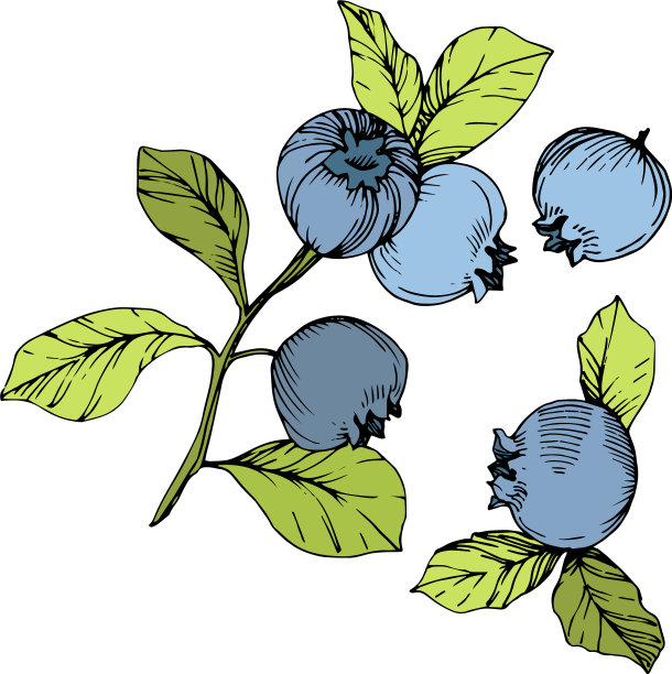 蓝莓绿和蓝刻墨艺术图片下载