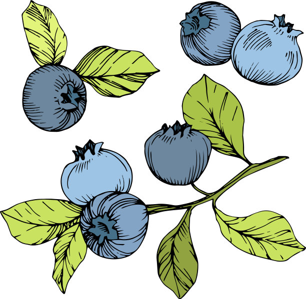 蓝莓绿和蓝刻墨艺术图片下载