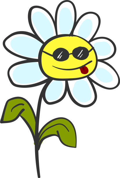 白色背景上的酷向日葵图片下载