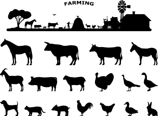 设置轮廓家畜农场动物图片下载