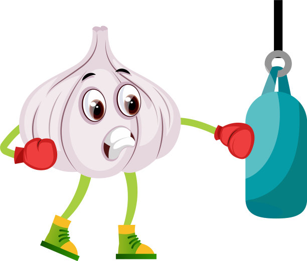 大蒜拳击在白色的背景图片下载