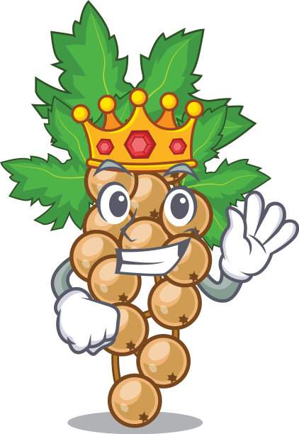 吉祥物碗的上方是白色的国王卡朗特图片下载