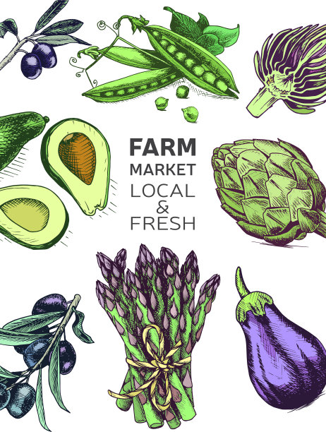 生态商店农产品素描蔬菜图片下载