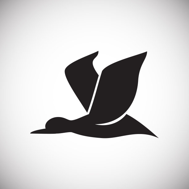 鸟类图标设置在白色背景的图形和图片下载