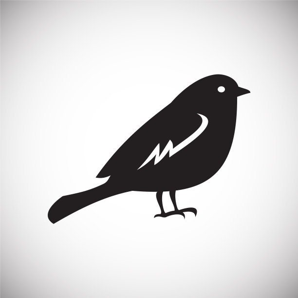 鸟类图标设置在白色背景的图形和图片下载