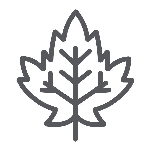 枫叶线条图标，秋季自然图片下载