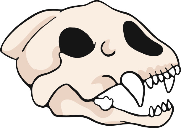 老虎头骨卡通主题套装图片下载