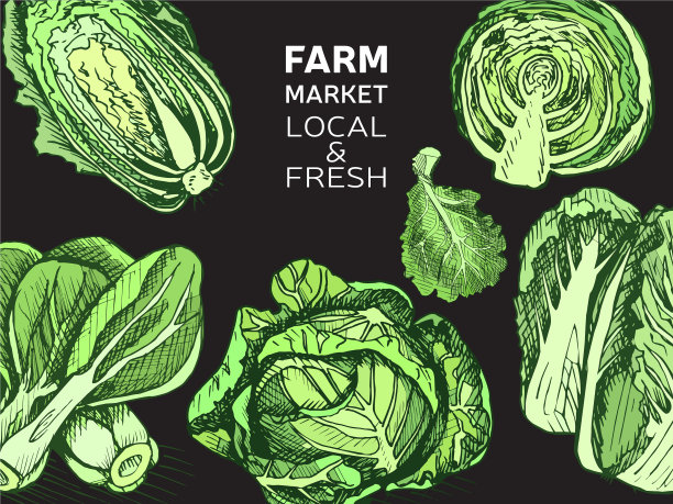 生态商店农产品素描蔬菜图片下载
