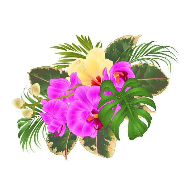 质地无缝的热带花卉花束图片下载