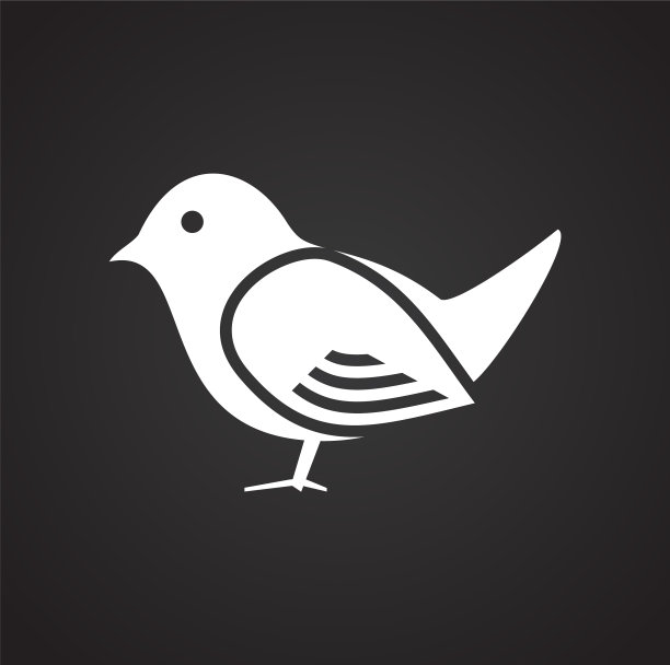 鸟类图标设置在黑色背景的图形和图片下载